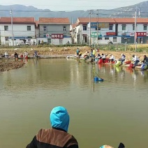 鱼塘转让、转租