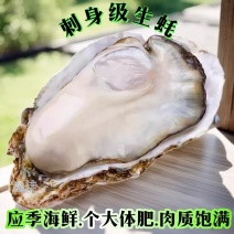 福建生蚝自养自销鲜活肥美专车价更优，欢迎进店沟通