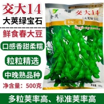 交大14鲜食毛豆种子口感甜糯大荚绿宝石大粒高产抗病商品性