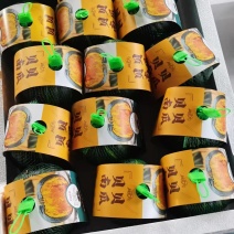 贝贝南瓜，支持一件代发，各种归格，价格优惠，欢迎咨询