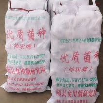 香菇菌种菌棒、黑木耳菌种菌棒，灵芝、天麻、菌种菌包。