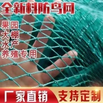 防鸟网新料抗老化大棚通风口鱼塘樱桃天网养鸡围栏葡萄草莓防