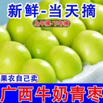 正宗广西牛奶苹果枣，专业一件代发社区团购多多买菜
