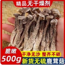 新品鹿茸菇干货10斤整件批发价鹿茸菇高品质脆菇特产鹿茸菇