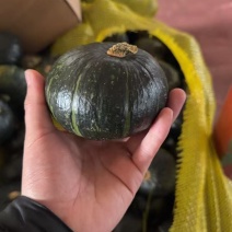 贝贝南瓜电商一件代发