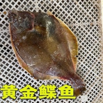 黄金鲽鱼蝶鱼蝶鱼块比目鱼偏口鱼深海鲽鱼多宝鱼鸦片鱼鲽鱼