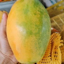 木瓜