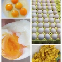 红心鸡蛋