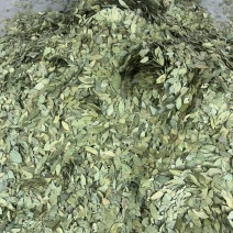 香叶大优惠进口好香叶嘎嘎干