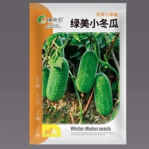 早熟绿美小冬瓜种子杂交小冬瓜农家庭院种植蔬菜种子