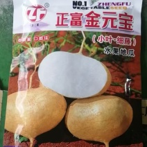 小叶地藤，水果地瓜