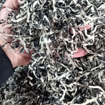优质木耳丝产地木耳丝直供自产自销木耳丝加工厂山东木耳丝