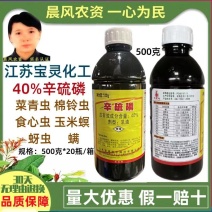 老牌厂家40%辛硫磷江苏宝灵菜青虫棉铃虫蚜虫玉米螟专用杀