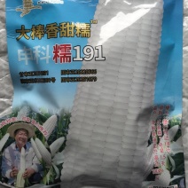 玉米种子申科糯191大棒高产白甜糯玉米每颗籽粒甜又糯