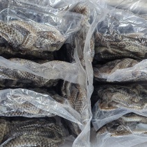 清水鱼皮泡椒鱼皮原料