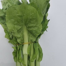 【实力商家】快菜苔子，一手货源，供应市场商超电商