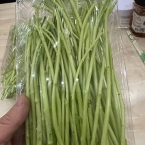 芦蒿