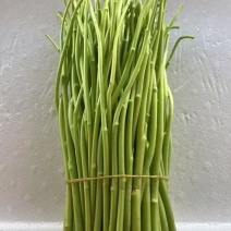 藜蒿杆