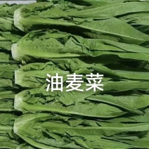 云南油麦菜33吨