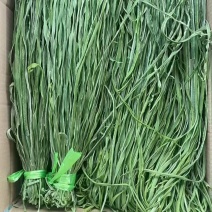 大理贡菜基地批发质量保证品质高价格实惠需要联系大量现货有