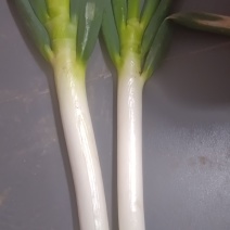大葱