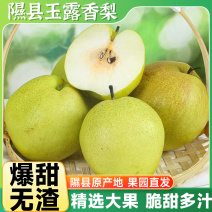 隰县玉露香梨