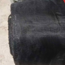 黑色防虫网60目