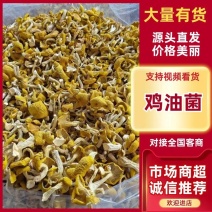 优质鸡油菌干货批发产地直供肉质肥厚量大从优