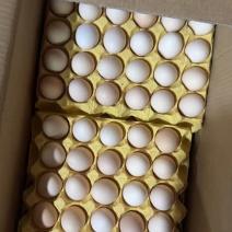 新鲜鸡蛋，一版14元，有30个