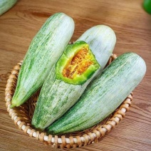 山东羊角蜜大量批发9毛钱一斤预订中
