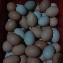 农家土鸡蛋
