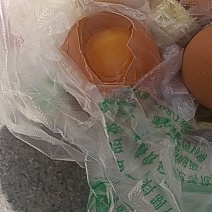 兰州散养土鸡蛋