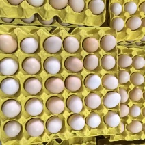 鸡蛋🥚