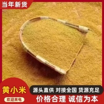 陕北优质黄小米精品五斤装色泽金黄口感细腻现货包邮