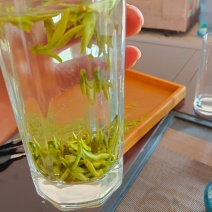 四川版龙井茶