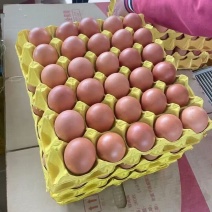 精品鸡蛋