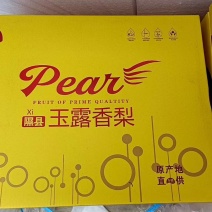 隰县玉露香梨