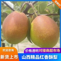 优质红香酥运城龙居红香酥无黑心无起泡