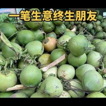 海南文昌东郊椰林直采直发