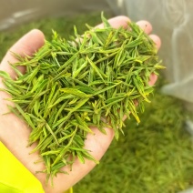 预售安吉白茶，最终以市场价为准