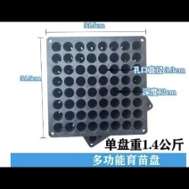 柑橘育苗专用育苗盘