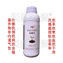 中亩硅根宝含硅水溶肥料壮茎秆抗倒伏抗病抗虫抗逆防裂果