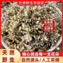 【小规格可代发】甘肃野生新麻麻花扎蒙花洋湖子湖花