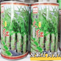 绵蔬长美火红莴笋种子红莴笋种子尖叶莴苣种耐寒叶紫
