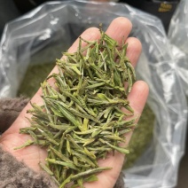 乌牛早毛峰