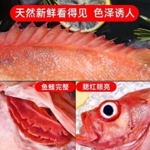 深海红石斑鱼新鲜冷冻（每条700g）10条起发