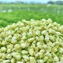 茉莉花蕾干