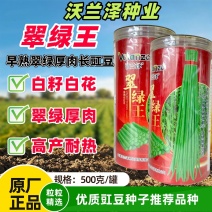 翠绿王白籽白花豇豆耐热耐高温肉厚籽少高产顺直春秋播种