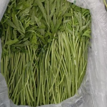 蔬菜
