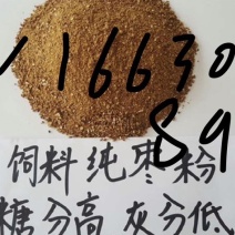 香香甜甜的枣粉家畜牛羊都爱吃肉涨的快高糖高能量不错不